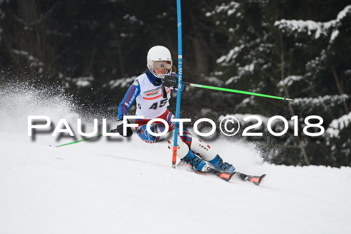 FIS Slalom Damen + Herren 23.02.2018