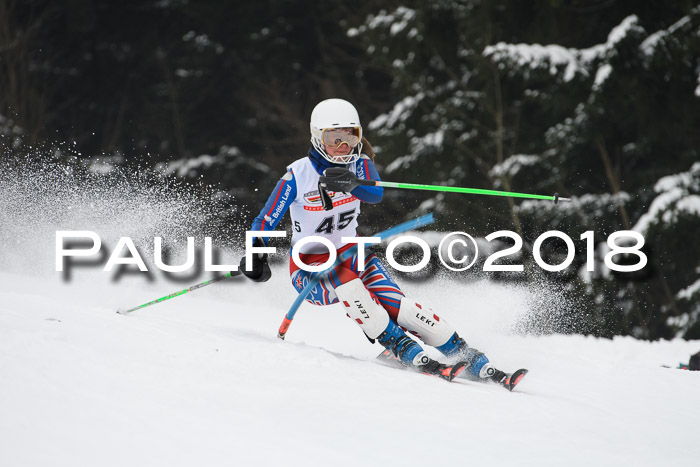 FIS Slalom Damen + Herren 23.02.2018