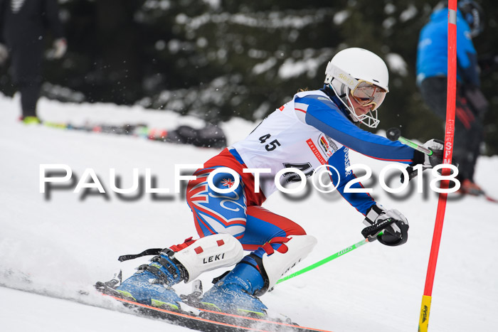 FIS Slalom Damen + Herren 23.02.2018
