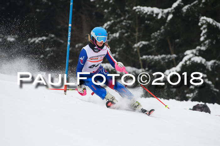 FIS Slalom Damen + Herren 23.02.2018