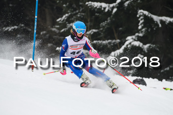 FIS Slalom Damen + Herren 23.02.2018