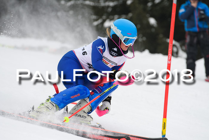 FIS Slalom Damen + Herren 23.02.2018