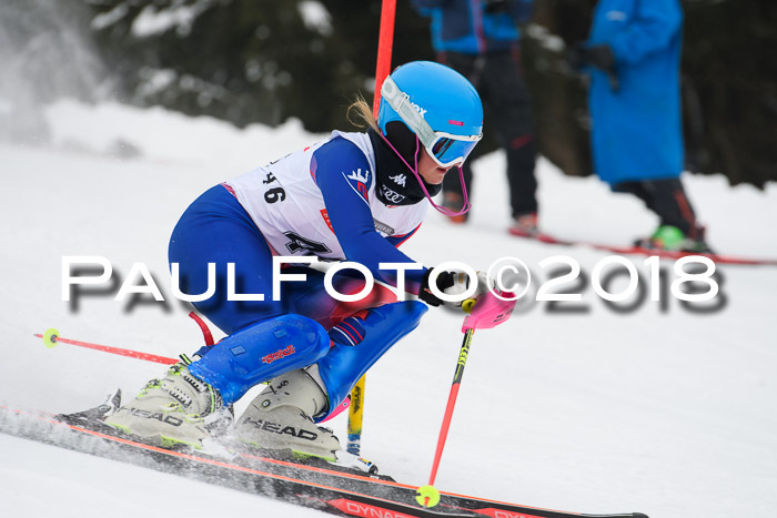 FIS Slalom Damen + Herren 23.02.2018