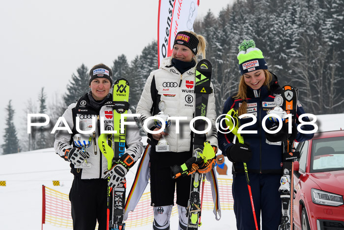 FIS Slalom Damen + Herren 23.02.2018