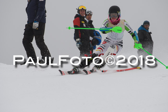 FIS Slalom Damen + Herren 23.02.2018