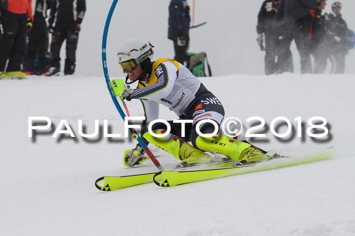 FIS Slalom Damen + Herren 23.02.2018