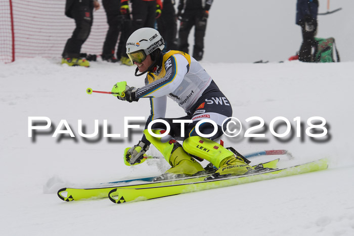 FIS Slalom Damen + Herren 23.02.2018