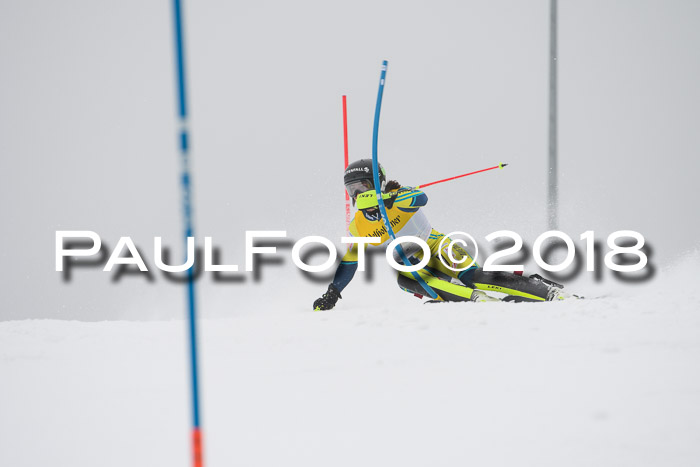 FIS Slalom Damen + Herren 23.02.2018