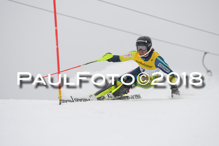 FIS Slalom Damen + Herren 23.02.2018