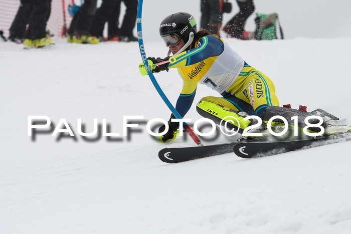 FIS Slalom Damen + Herren 23.02.2018