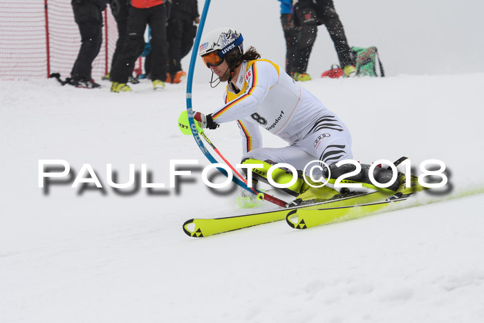 FIS Slalom Damen + Herren 23.02.2018