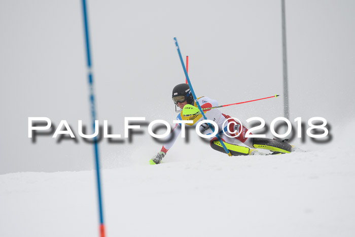 FIS Slalom Damen + Herren 23.02.2018