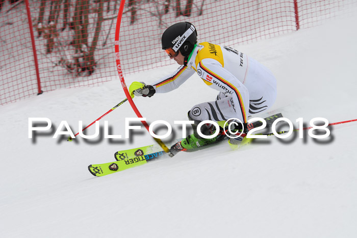 FIS Slalom Damen + Herren 23.02.2018