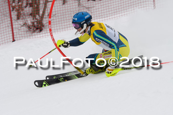 FIS Slalom Damen + Herren 23.02.2018