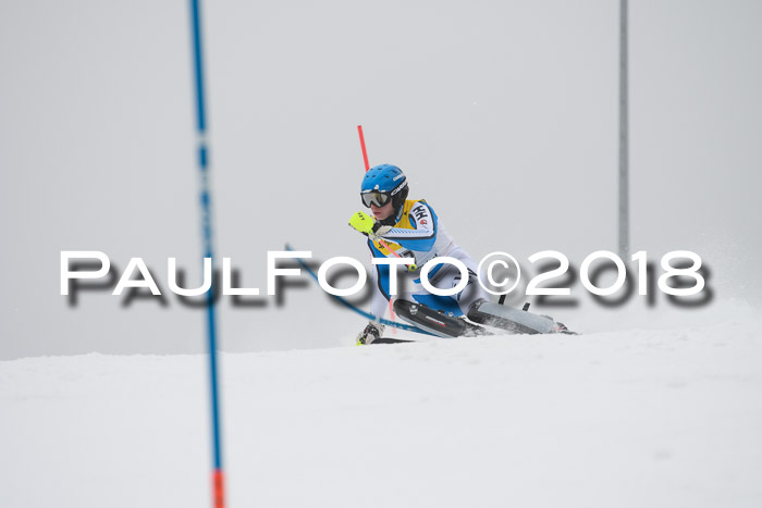 FIS Slalom Damen + Herren 23.02.2018
