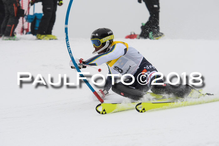 FIS Slalom Damen + Herren 23.02.2018