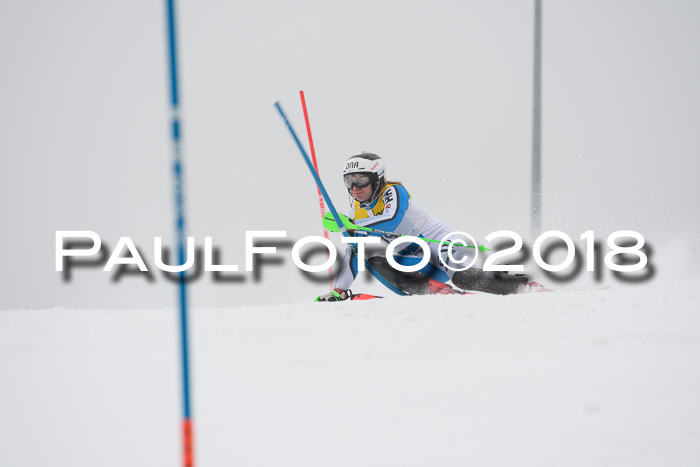 FIS Slalom Damen + Herren 23.02.2018