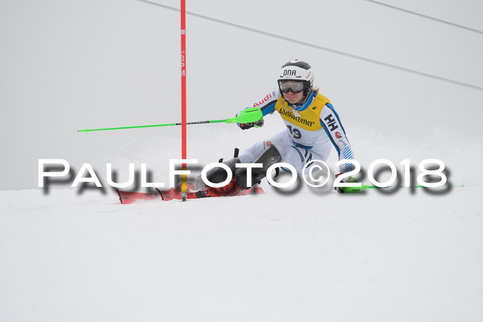 FIS Slalom Damen + Herren 23.02.2018