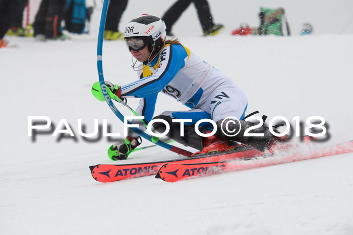 FIS Slalom Damen + Herren 23.02.2018