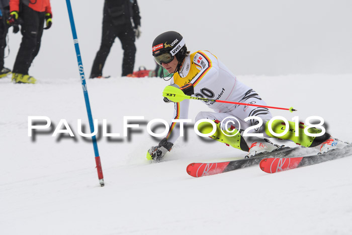 FIS Slalom Damen + Herren 23.02.2018