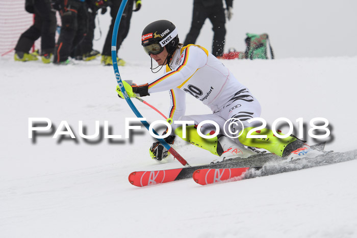 FIS Slalom Damen + Herren 23.02.2018