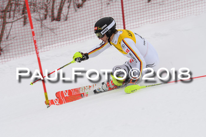 FIS Slalom Damen + Herren 23.02.2018