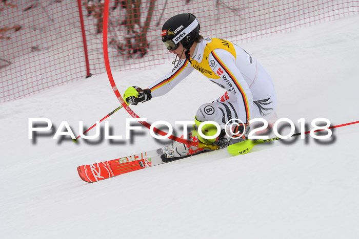 FIS Slalom Damen + Herren 23.02.2018