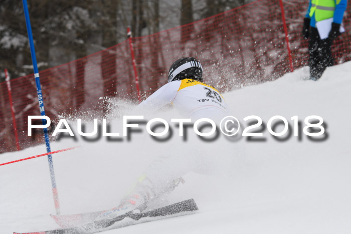 FIS Slalom Damen + Herren 23.02.2018