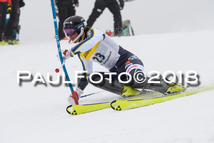 FIS Slalom Damen + Herren 23.02.2018