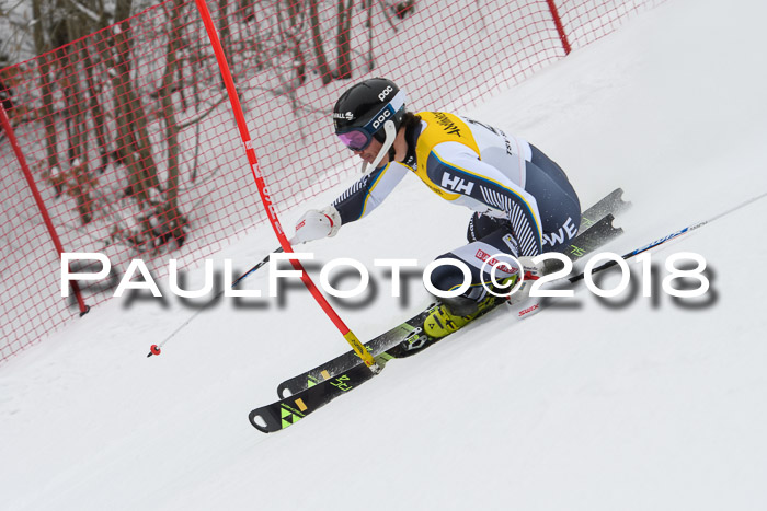 FIS Slalom Damen + Herren 23.02.2018