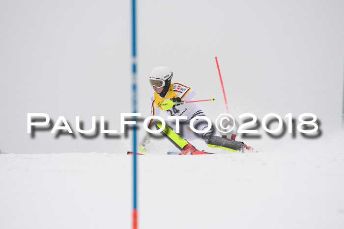 FIS Slalom Damen + Herren 23.02.2018