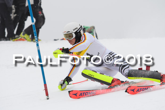 FIS Slalom Damen + Herren 23.02.2018