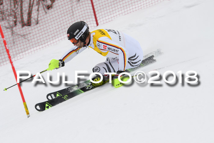 FIS Slalom Damen + Herren 23.02.2018