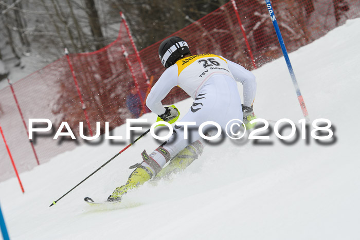 FIS Slalom Damen + Herren 23.02.2018