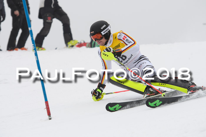 FIS Slalom Damen + Herren 23.02.2018