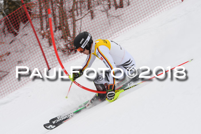 FIS Slalom Damen + Herren 23.02.2018