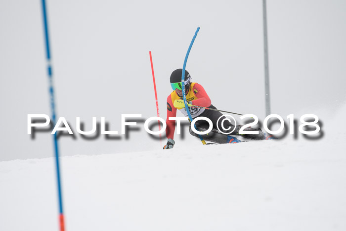 FIS Slalom Damen + Herren 23.02.2018