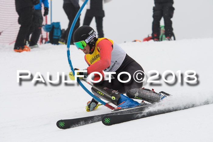 FIS Slalom Damen + Herren 23.02.2018