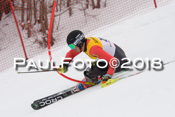 FIS Slalom Damen + Herren 23.02.2018