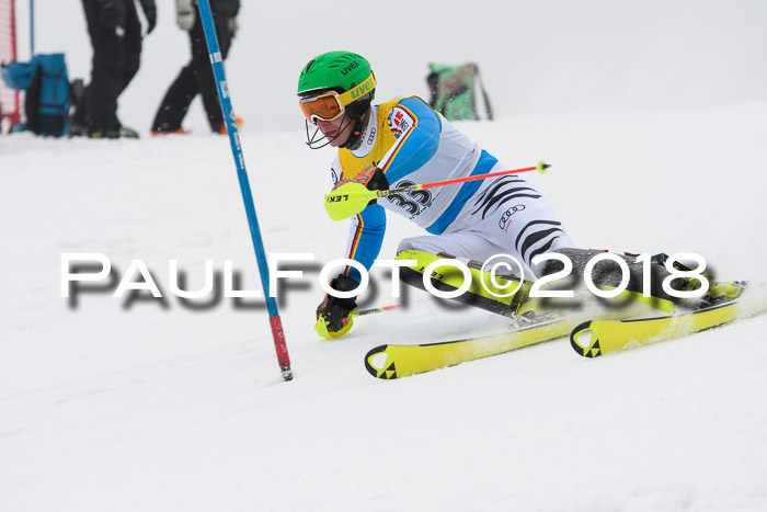 FIS Slalom Damen + Herren 23.02.2018