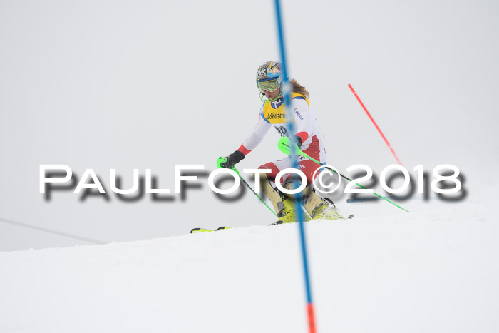 FIS Slalom Damen + Herren 23.02.2018