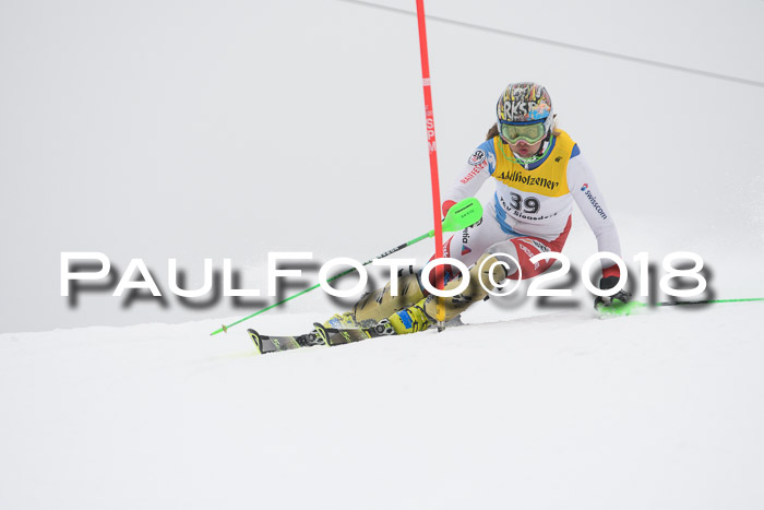 FIS Slalom Damen + Herren 23.02.2018