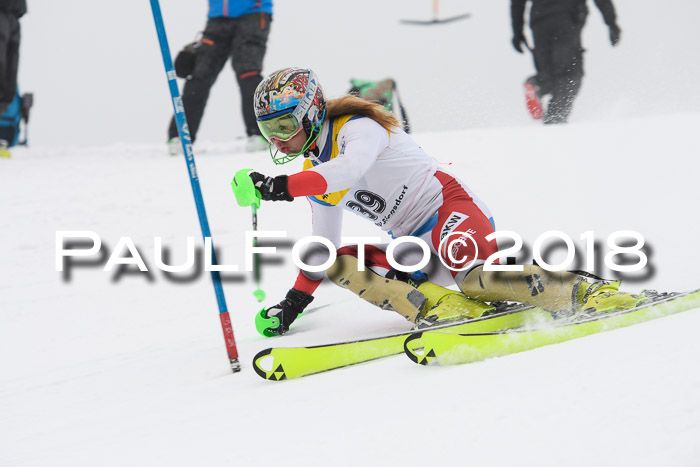 FIS Slalom Damen + Herren 23.02.2018