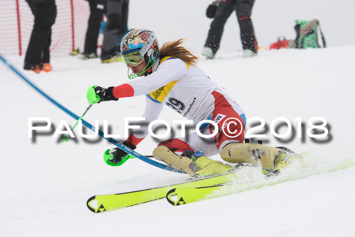 FIS Slalom Damen + Herren 23.02.2018