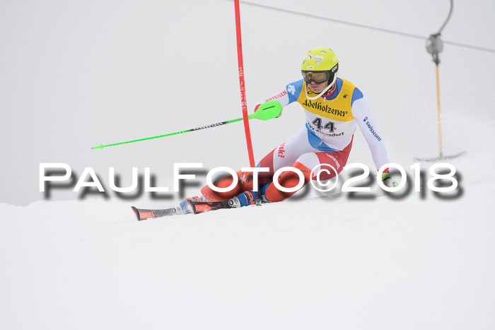 FIS Slalom Damen + Herren 23.02.2018