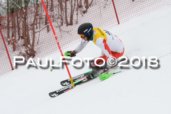 FIS Slalom Damen + Herren 23.02.2018