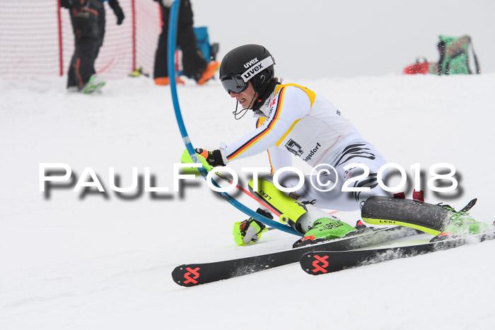 FIS Slalom Damen + Herren 23.02.2018