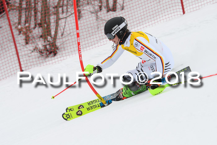 FIS Slalom Damen + Herren 23.02.2018