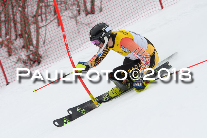 FIS Slalom Damen + Herren 23.02.2018