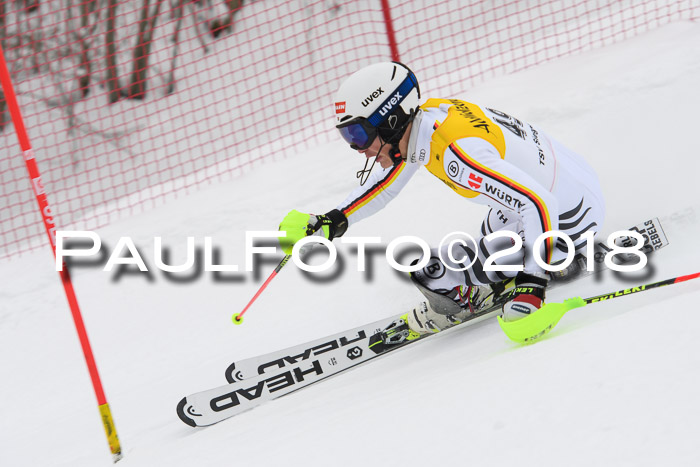 FIS Slalom Damen + Herren 23.02.2018